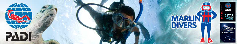 Marlin Divers