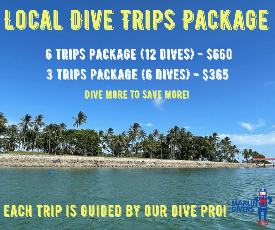 Local Dive Trip Package